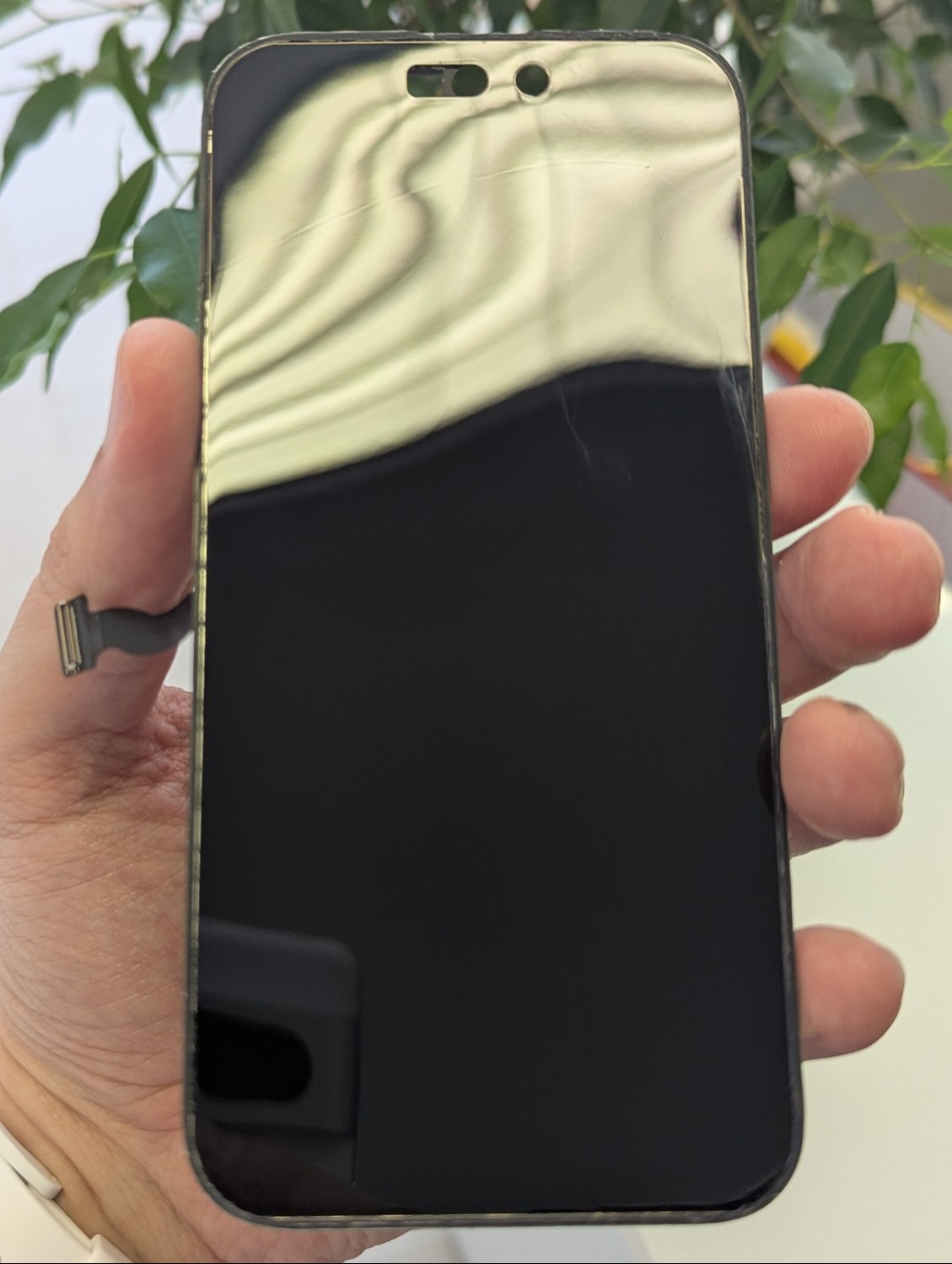 Wymiana szybki iPhone 15 Ząbki Warszawa Targówek